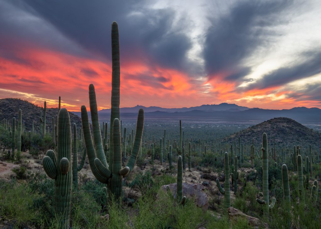 tucson arizona